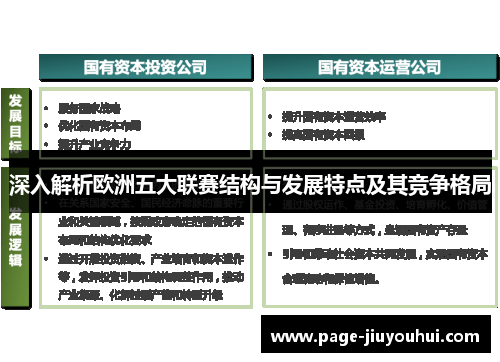 深入解析欧洲五大联赛结构与发展特点及其竞争格局
