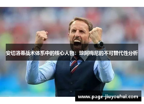 安切洛蒂战术体系中的核心人物：琼阿梅尼的不可替代性分析