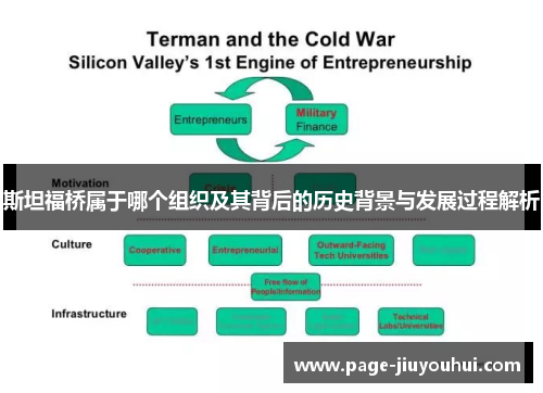 斯坦福桥属于哪个组织及其背后的历史背景与发展过程解析